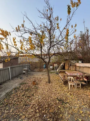 Фото 8 Дом в Узгарыш