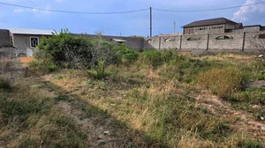 Фото 2 Участок в Бостанлыкском районе