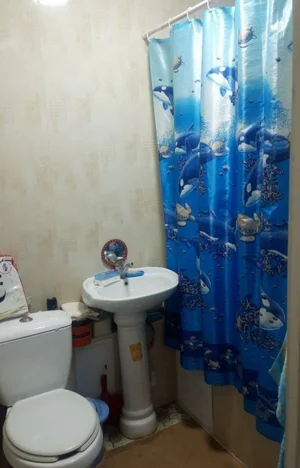 Фото 8 2-комн. квартира в Набережная