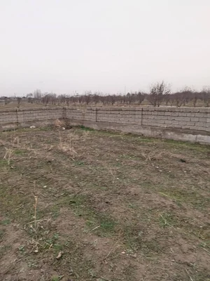 Фото 1 Дача в Бустонлик