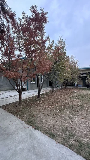 Фото 3 Участок в Токзор