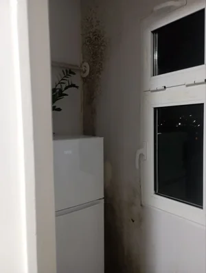 Фото 6 2-комн. квартира в напротив Кадышева