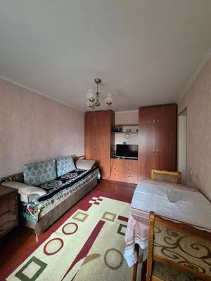 Фото 2 1-комн. квартира в Академгородке