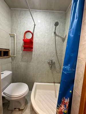 Фото 7 1-комн. квартира в Академгородке