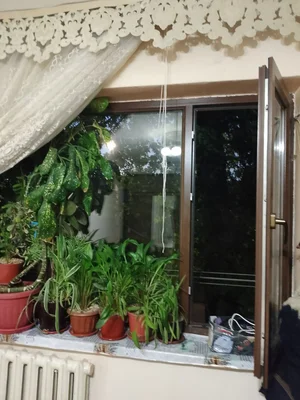 Фото 7 2-комн. квартира в Юнусабад