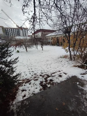 Фото 3 Участок в Карасу-6