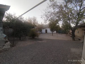 Фото 2 Участок в Центр  Янгибазар