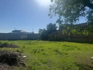 Фото 8 Участок в Дурмене