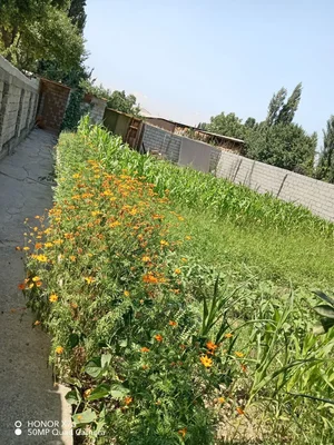 Фото 4 Дом в Янги Хаетском районе