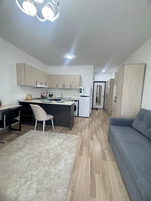 Фото 4 1-комн. квартира в Единое окно