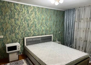 Фото 7 1-комн. Дом в Академ городок