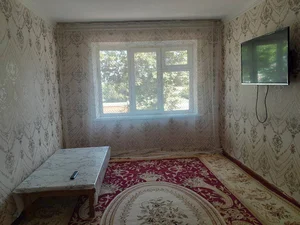 Фото 3 1-комн. квартира в Троцкий