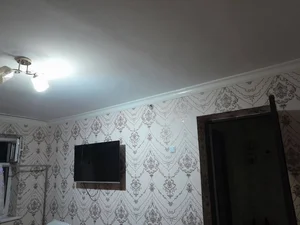 Фото 4 1-комн. квартира в Троцкий