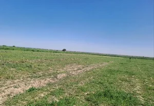 Фото 1 Участок в районе университетом Akfa