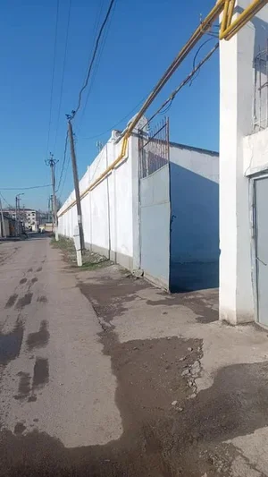 Фото 1 Не указано