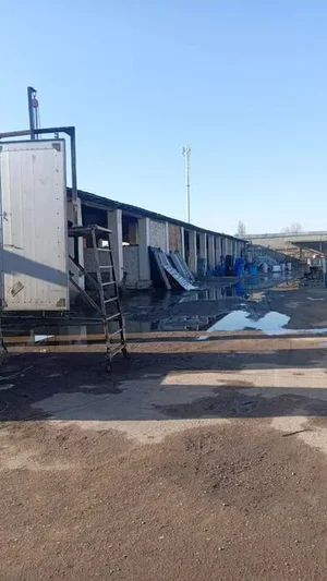 Фото 2 Не указано