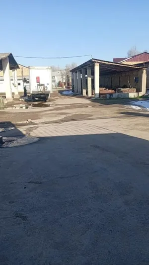 Фото 3 Не указано