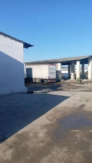 Фото 5 Не указано