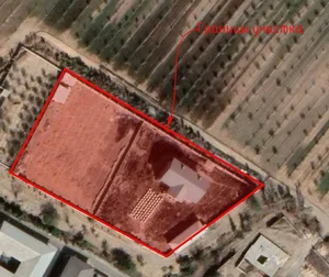 Фото 1 Участок в Яшнабадском районе