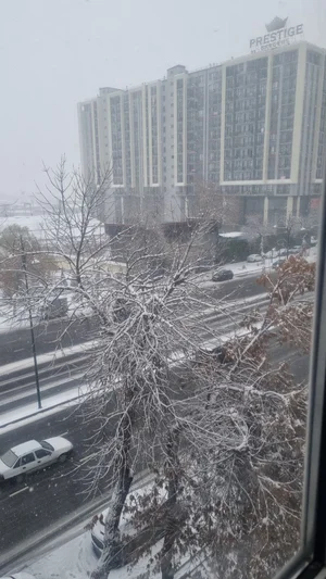 Фото 5 1-комн. квартира в Яккасарой