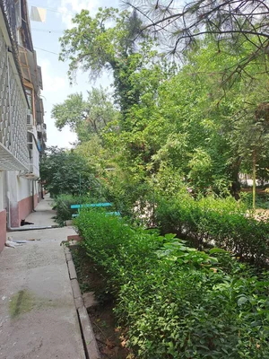 Фото 7 1-комн. квартира в Саламатина чорраха