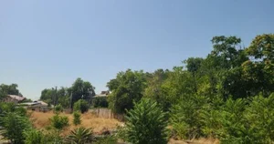 Фото 4 Участок в Миробадском районе