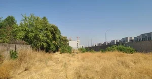 Фото 1 Участок в Миробадском районе