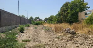 Фото 2 Участок в Миробадском районе