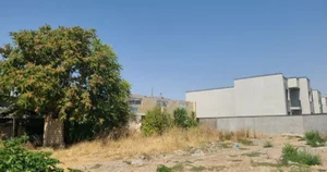 Фото 3 Участок в Миробадском районе