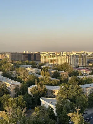 Фото 6 1-комн. квартира в Юнусабад-6