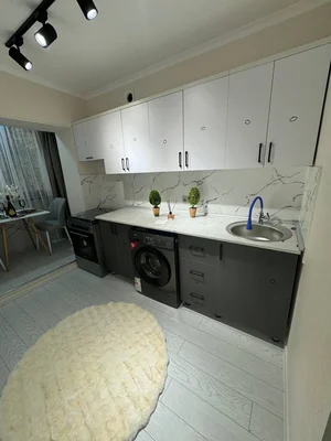 Фото 4 1-комн. квартира в Академгородке