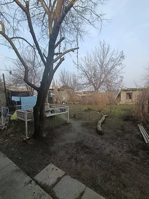 Фото 4 Участок в Яшнабадском районе