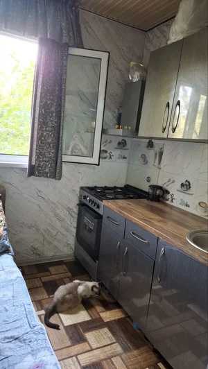 Фото 2 1-комн. квартира в Учтепинском районе