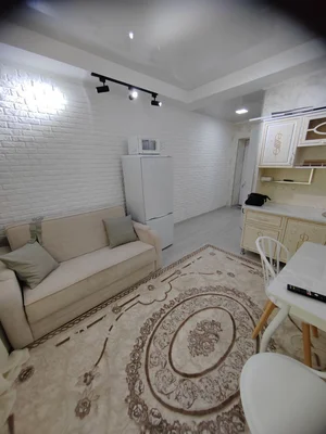 Фото 3 1-комн. квартира в Вундеркинд