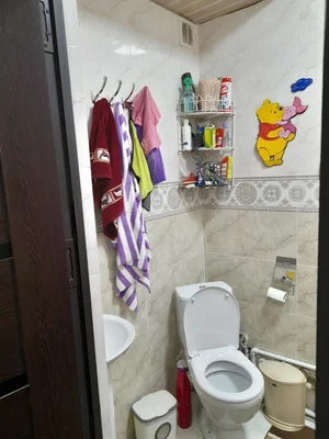 Фото 10 1-комн. квартира в Буз2 Тараканчик