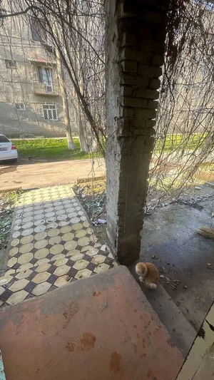 Фото 8 2-комн. квартира в Геофизика