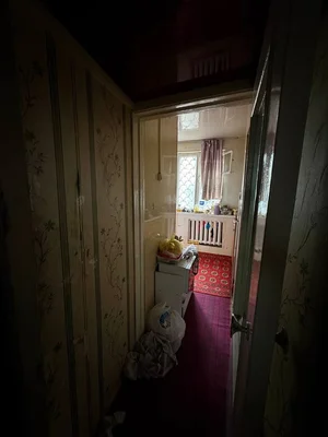 Фото 3 1-комн. квартира в Спутник