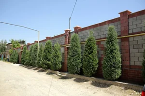 Фото 10 Участок в Мирзоулугбекском районе