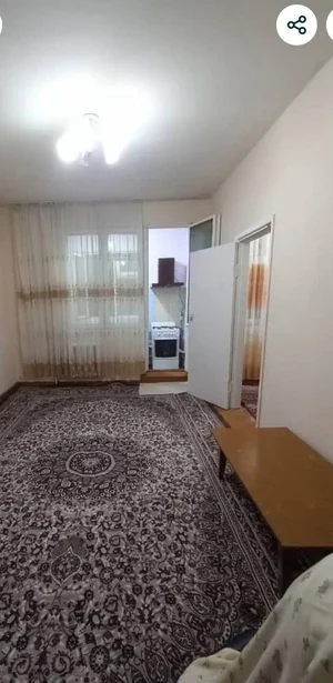 Фото 1 1-комн. квартира в Орр 205-школа