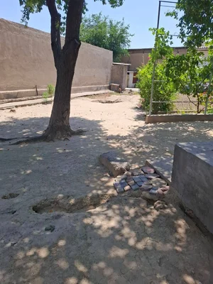 Фото 1 Участок в Янгийулском районе