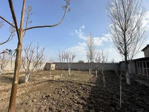 Фото 3 Участок в Эски Анхор