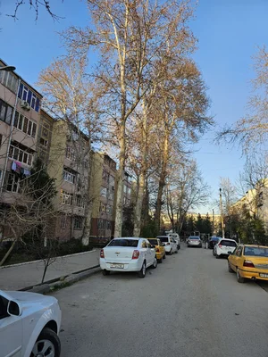 Фото 5 2-комн. квартира в Согдиане