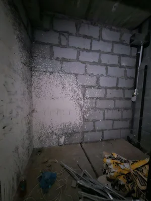 Фото 4 2-комн. квартира в Новостройке на 7 этаже