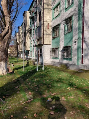 Фото 8 Дом в Чиланзар