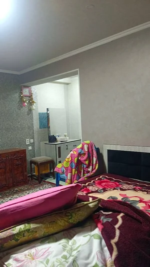 Фото 2 1-комн. квартира в Спутник-15