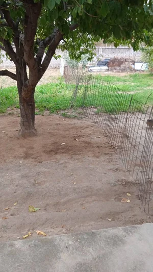 Фото 1 Дом в Кибрай-Маданият