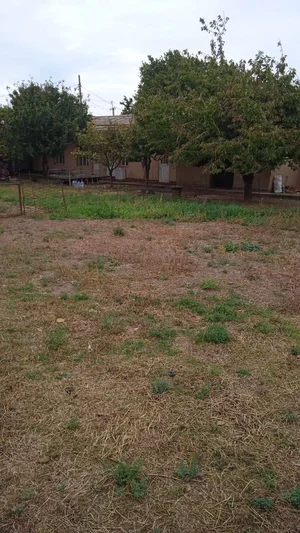 Фото 2 Дом в Кибрай-Маданият